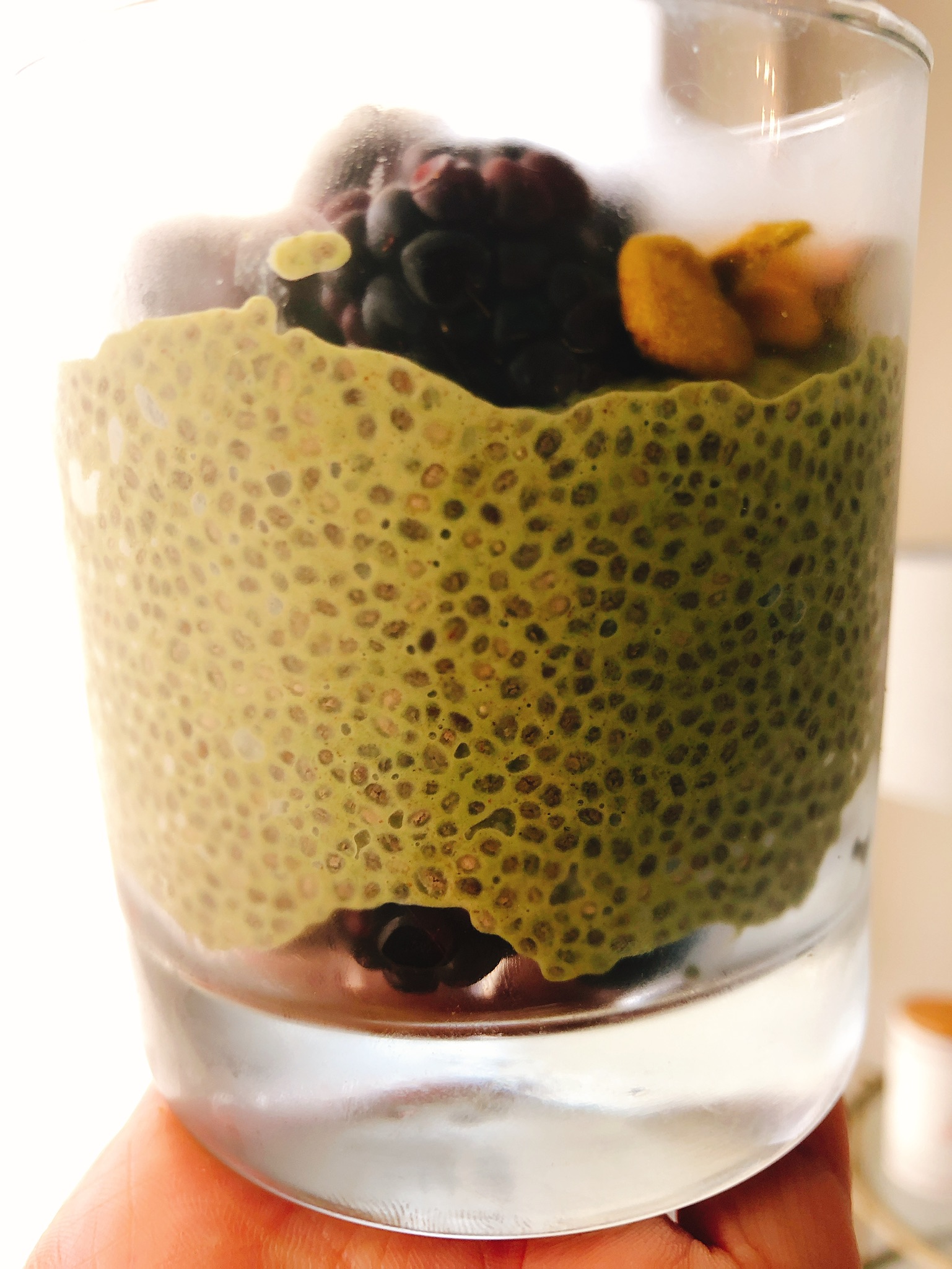 Healthy Fat Matcha Chia Pudding