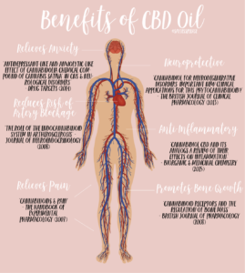 BENEFITS OF CBD OIL