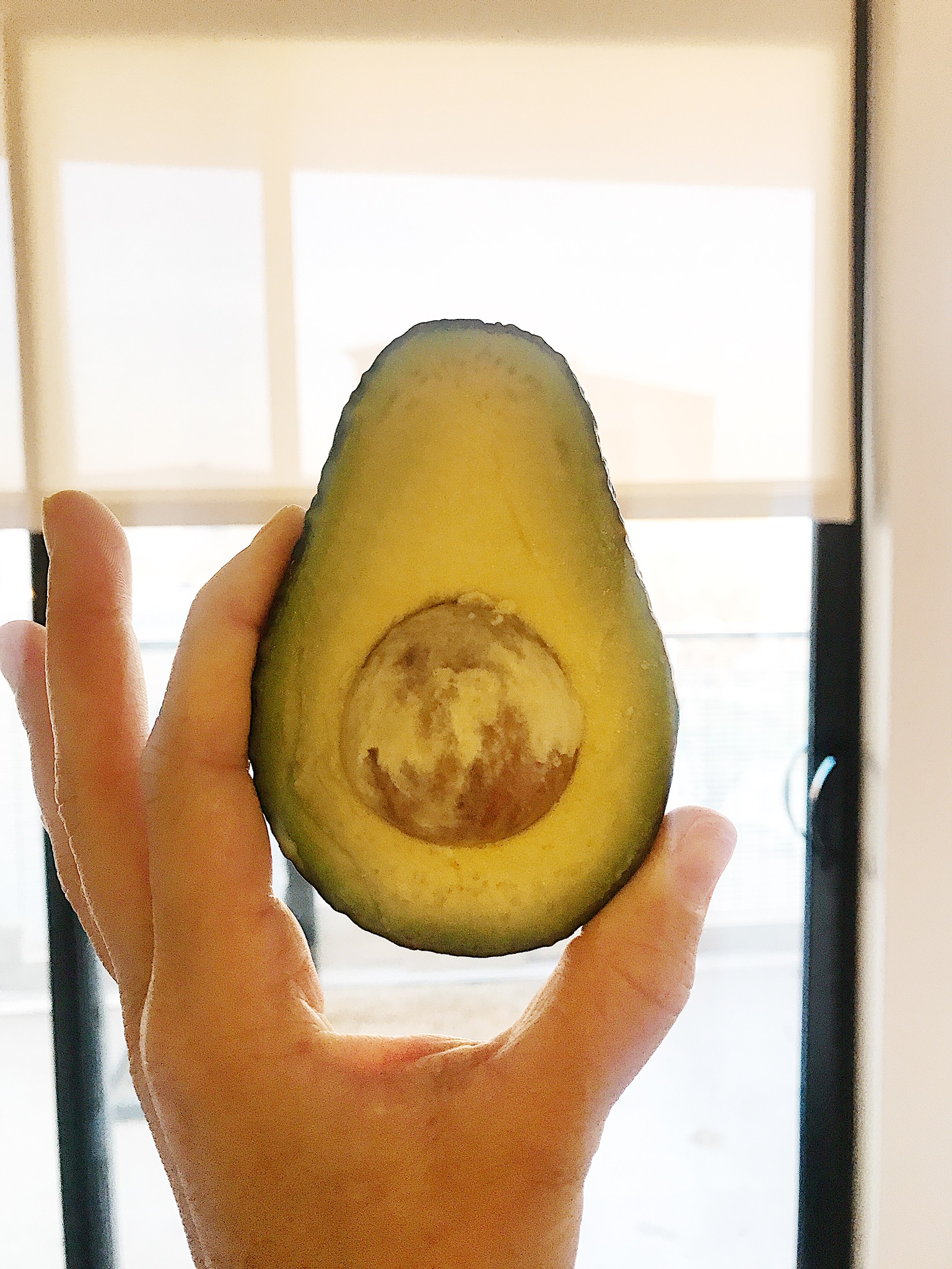 healthy fat avocado